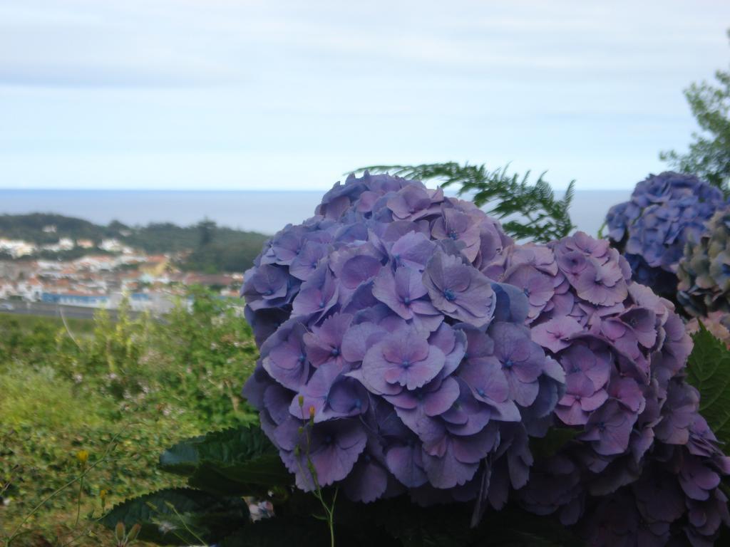 Family Holiday Villa Vacation Ponta Delgada エクステリア 写真